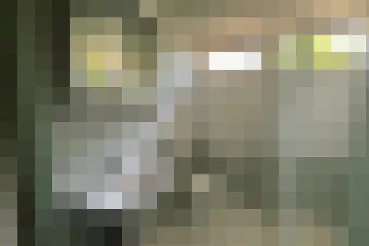 Nassauhof 73 Terborg thumbnail 17