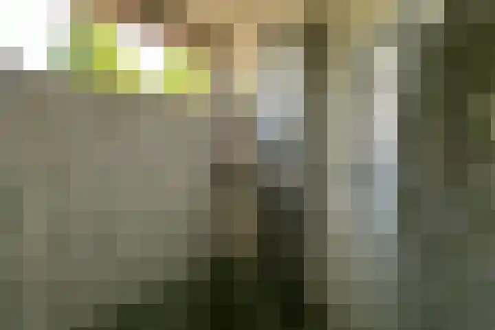 Nassauhof 73 Terborg thumbnail 18