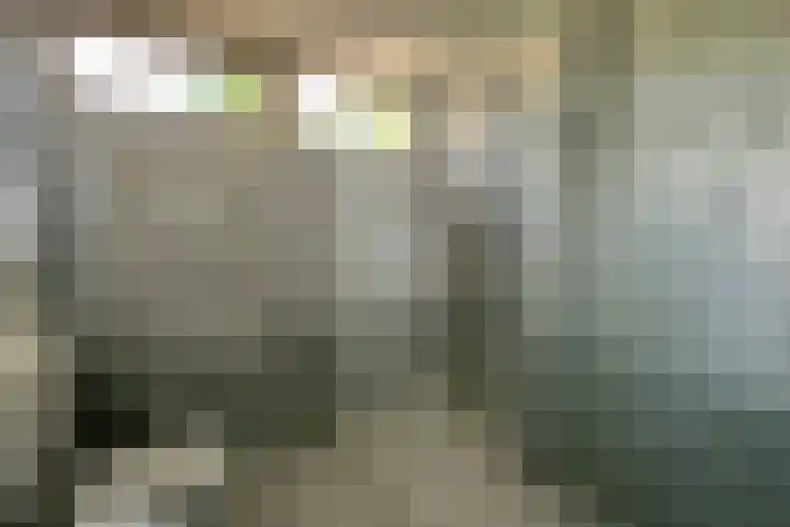 Nassauhof 73 Terborg thumbnail 19