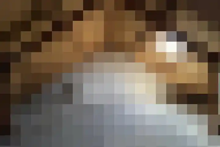 Nassauhof 73 Terborg thumbnail 21