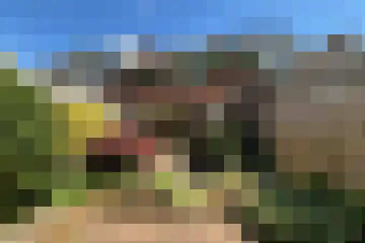 Nassauhof 73 Terborg thumbnail 24