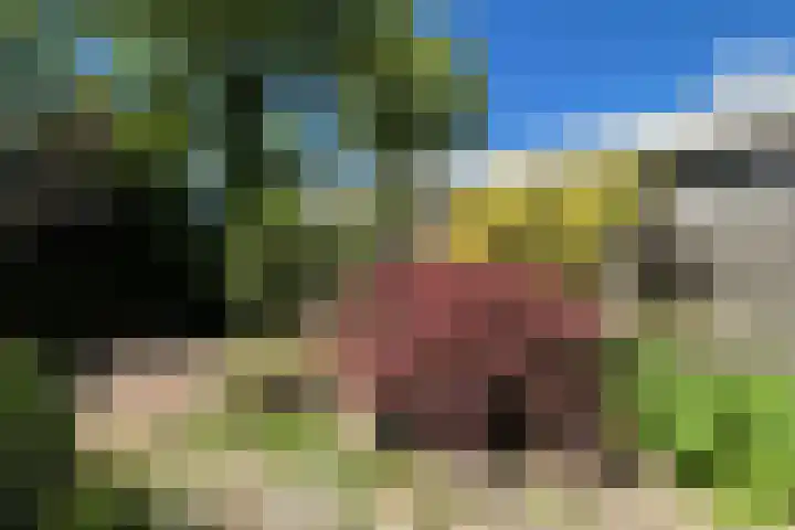 Nassauhof 73 Terborg thumbnail 25