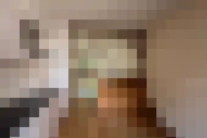 Nassauhof 73 Terborg thumbnail 4