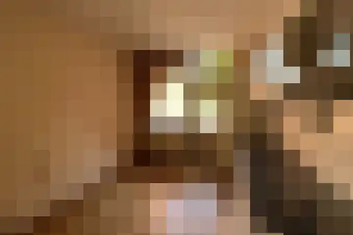 Nassauhof 73 Terborg thumbnail 5