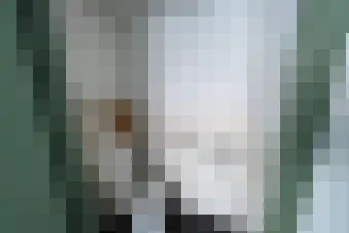 Nassauhof 73 Terborg thumbnail 9