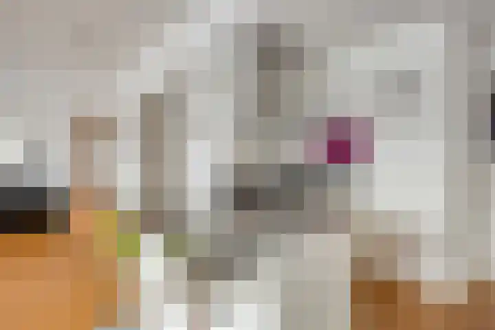 Nassaukade 1 F402 Rijswijk thumbnail 16