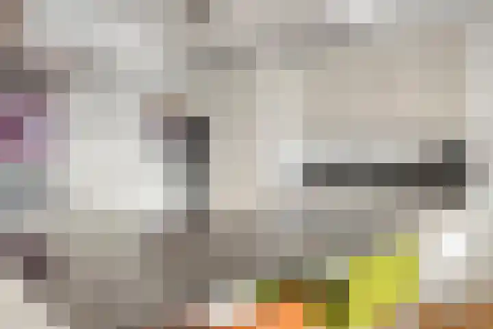 Nassaukade 1 F402 Rijswijk thumbnail 17