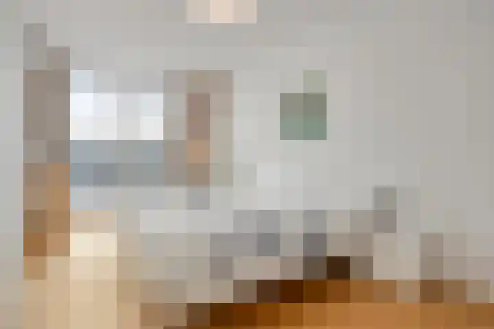 Nassaukade 1 F402 Rijswijk thumbnail 21