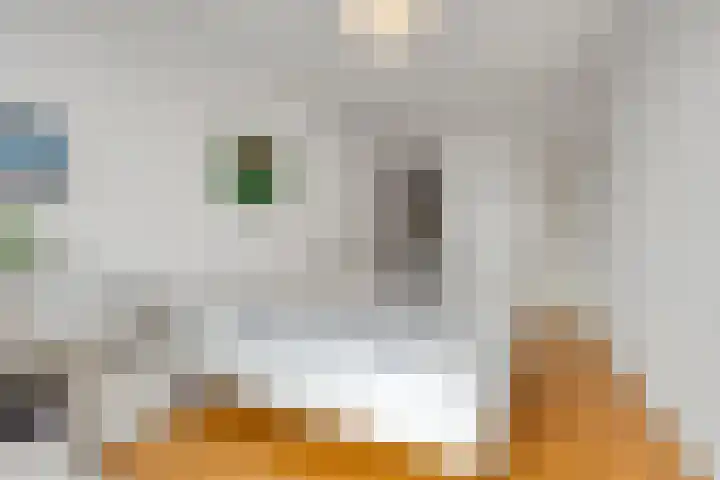 Nassaukade 1 F402 Rijswijk thumbnail 22