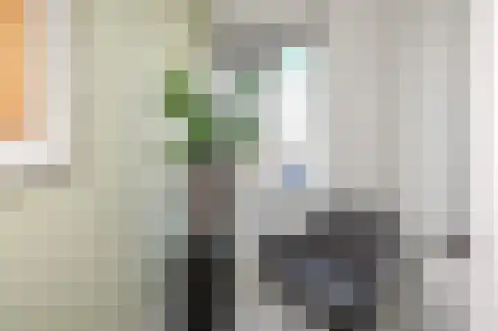 Nassaukade 1 F402 Rijswijk thumbnail 28