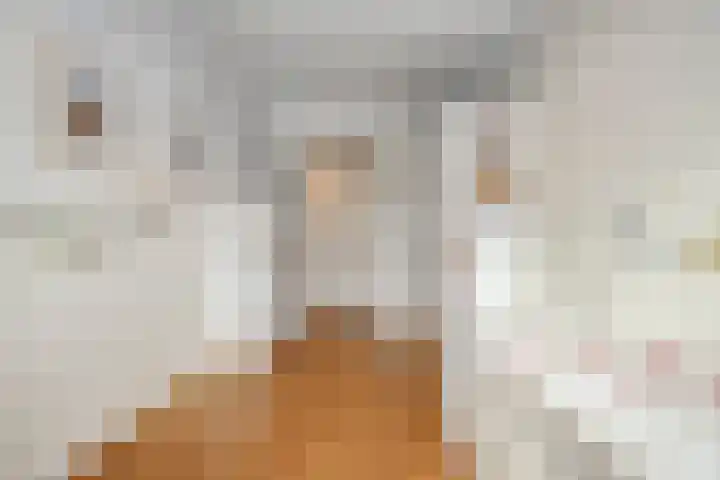 Nassaukade 1 F402 Rijswijk thumbnail 29