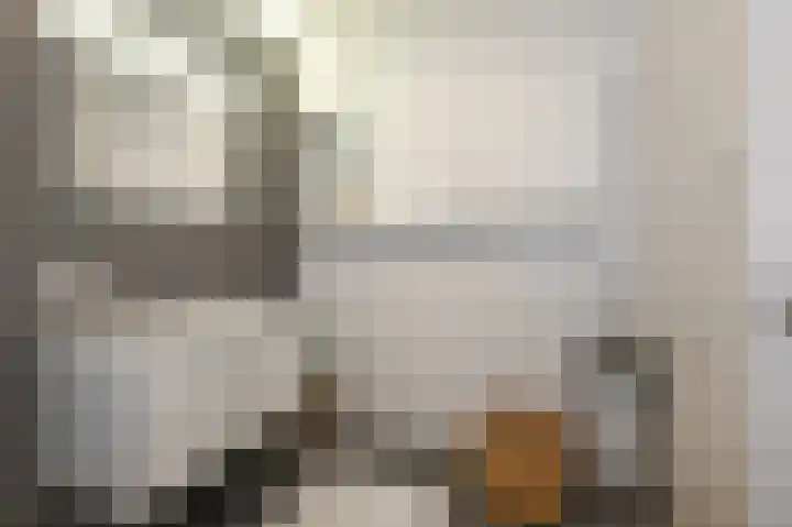 Nassaukade 1 F402 Rijswijk thumbnail 36
