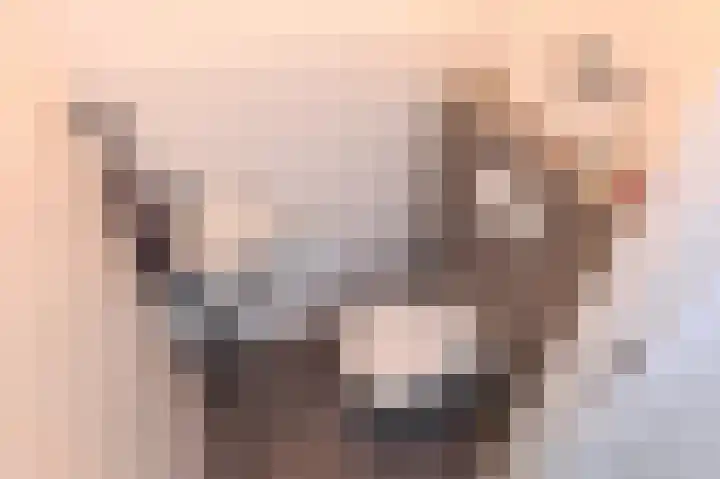 Nassaukade 1 F402 Rijswijk thumbnail 39
