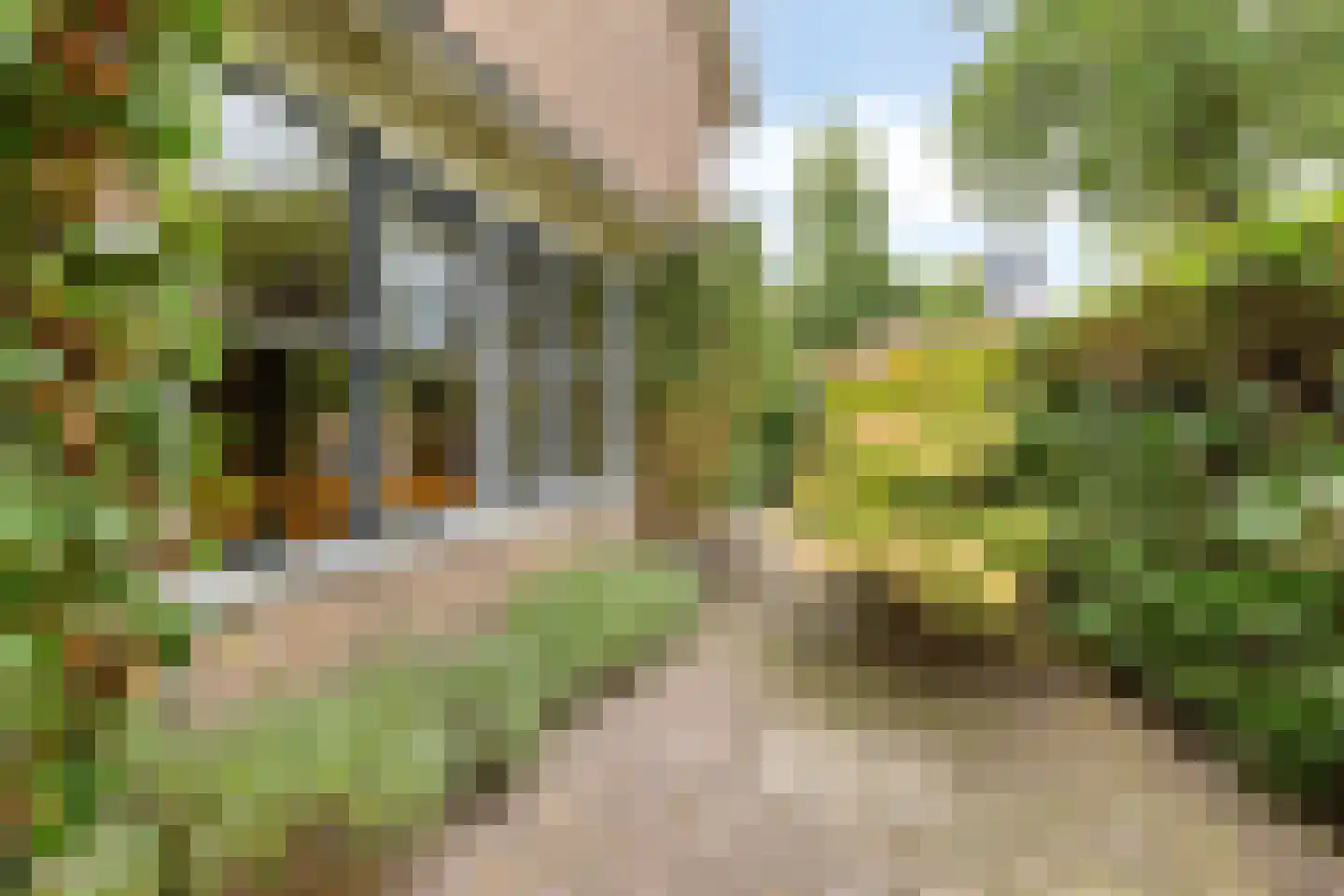 Nassaukade 10 Voorschoten thumbnail 28