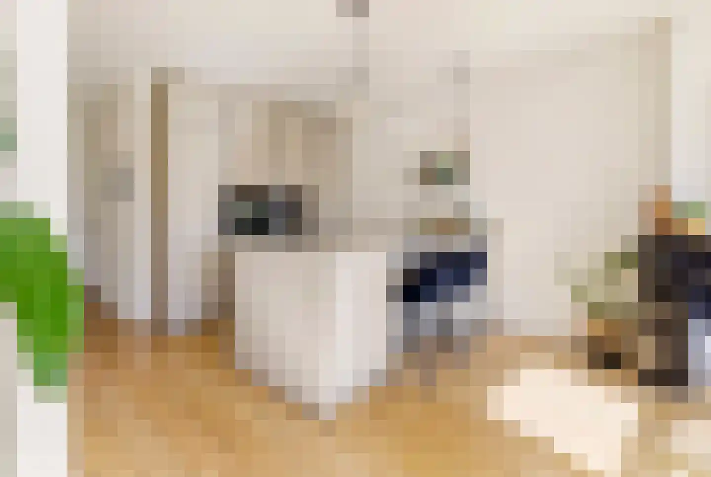 Nassaukade 100 4 Amsterdam thumbnail 9