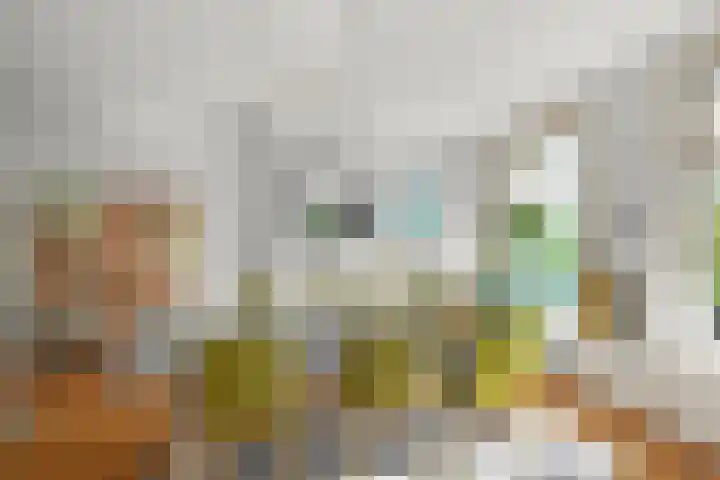 Nassaukade 101 3 Amsterdam thumbnail 15
