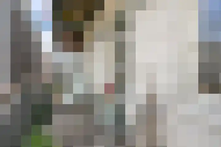 Nassaukade 101 3 Amsterdam thumbnail 23