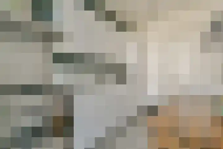 Nassaukade 102 H Amsterdam thumbnail 20