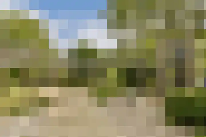 Nassaukade 102 H Amsterdam thumbnail 39