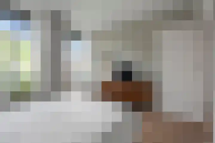 Nassaukade 103 3 Amsterdam thumbnail 13
