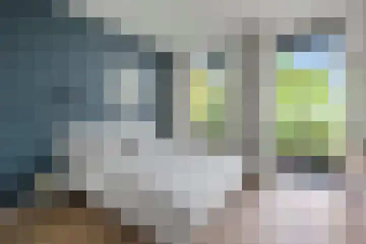 Nassaukade 103 3 Amsterdam thumbnail 14