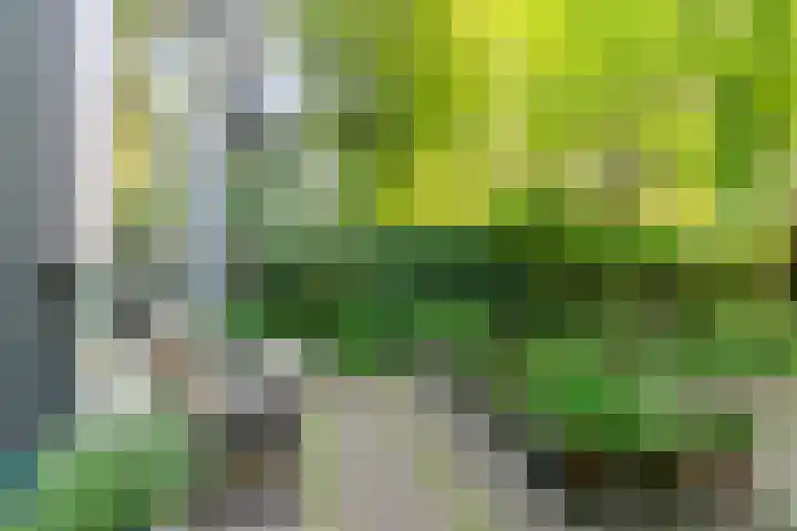 Nassaukade 103 3 Amsterdam thumbnail 34
