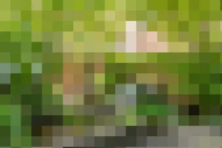 Nassaukade 103 3 Amsterdam thumbnail 35
