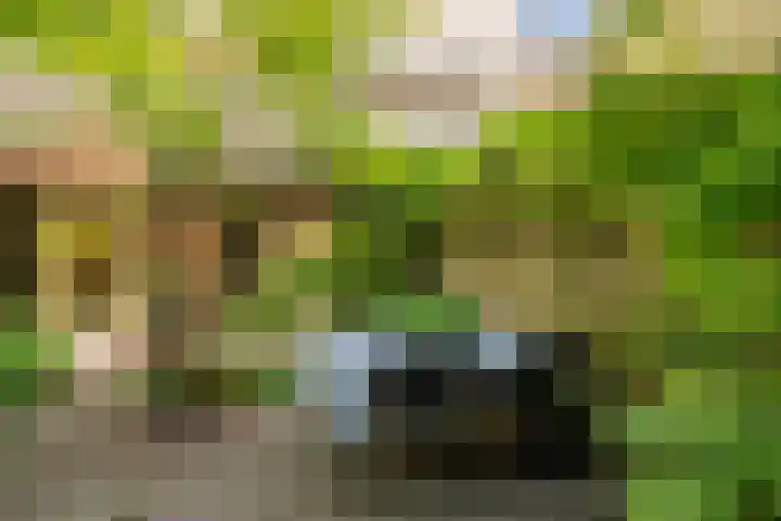 Nassaukade 103 3 Amsterdam thumbnail 36