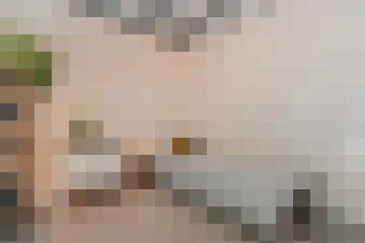Nassaukade 103 3 Amsterdam thumbnail 39