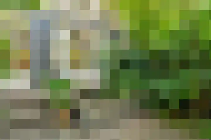 Nassaukade 103 3 Amsterdam thumbnail 42