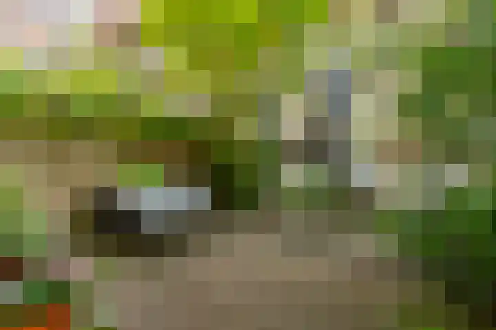 Nassaukade 103 3 Amsterdam thumbnail 43