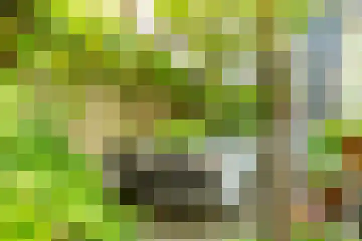 Nassaukade 103 3 Amsterdam thumbnail 44