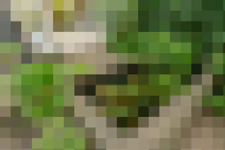 Nassaukade 103 3 Amsterdam thumbnail 45