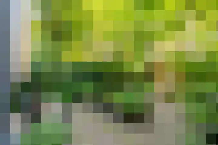 Nassaukade 103 3 Amsterdam thumbnail 5