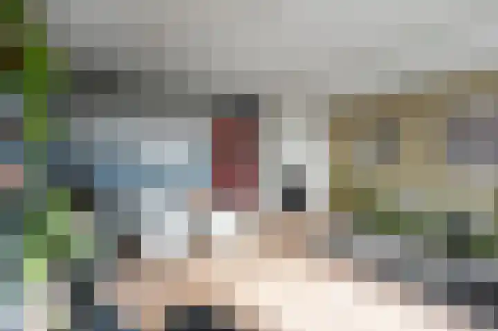 Nassaukade 103 3 Amsterdam thumbnail 6