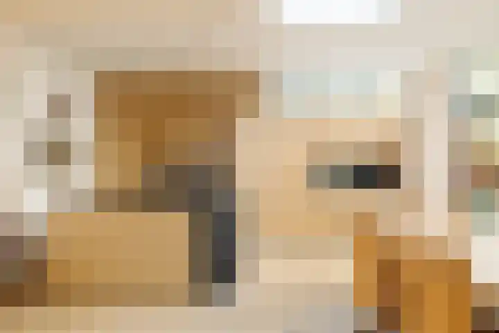 Nassaukade 104 H Amsterdam thumbnail 10