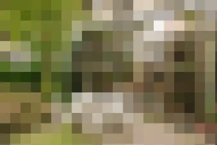 Nassaukade 104 H Amsterdam thumbnail 14