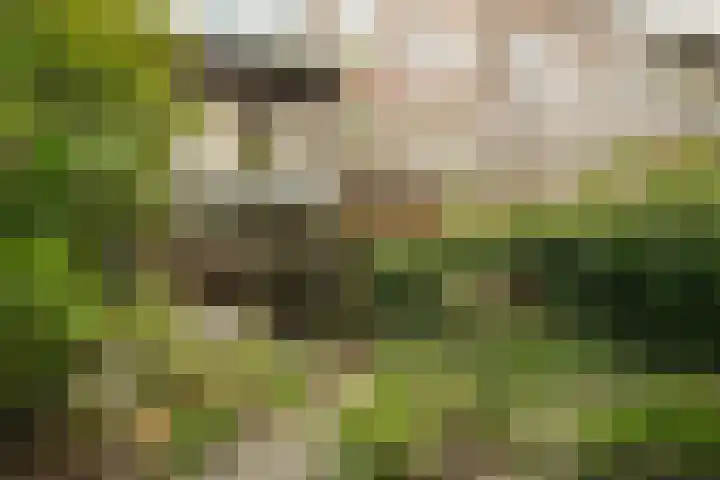 Nassaukade 104 H Amsterdam thumbnail 15