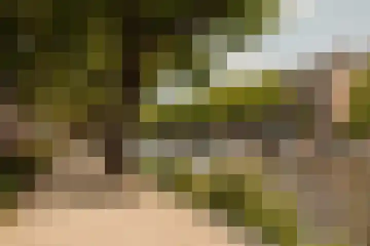 Nassaukade 104 H Amsterdam thumbnail 32