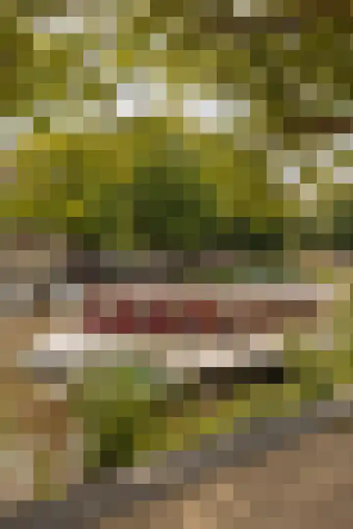 Nassaukade 104 H Amsterdam thumbnail 33