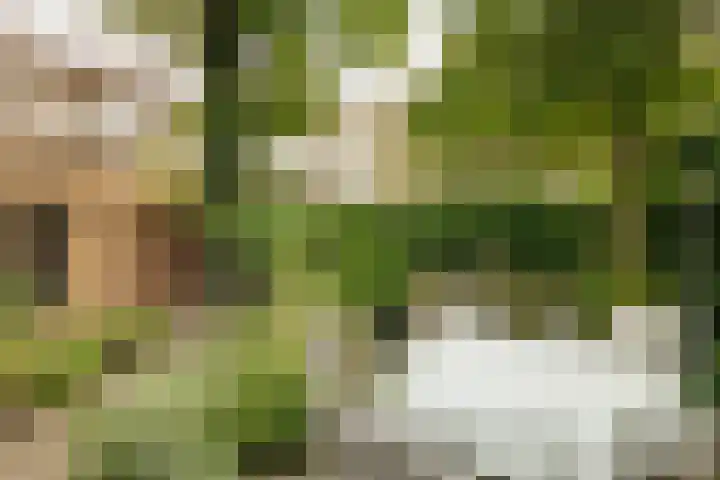 Nassaukade 104 H Amsterdam thumbnail 4