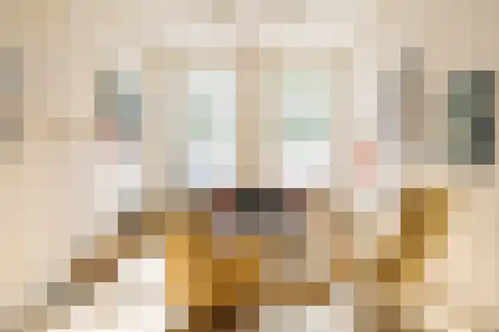 Nassaukade 104 H Amsterdam thumbnail 6