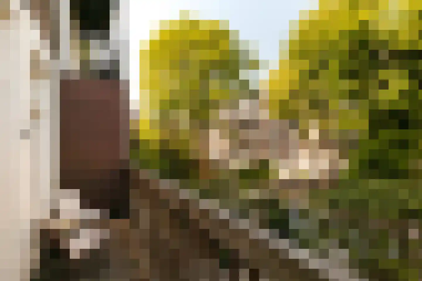 Nassaukade 106 3 Amsterdam thumbnail 5