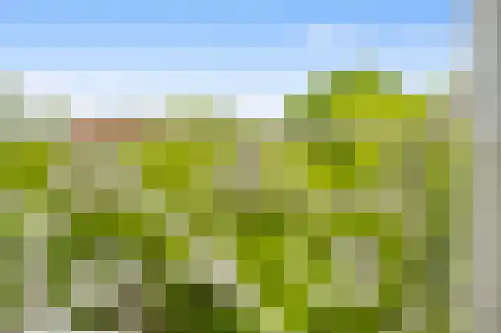 Nassaukade 109 3 Amsterdam thumbnail 14
