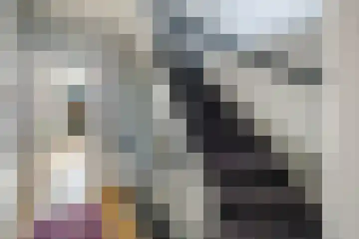 Nassaukade 109 3 Amsterdam thumbnail 18