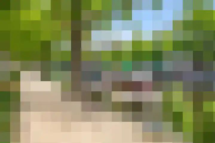 Nassaukade 109 3 Amsterdam thumbnail 38