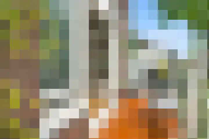 Nassaukade 109 3 Amsterdam thumbnail 9