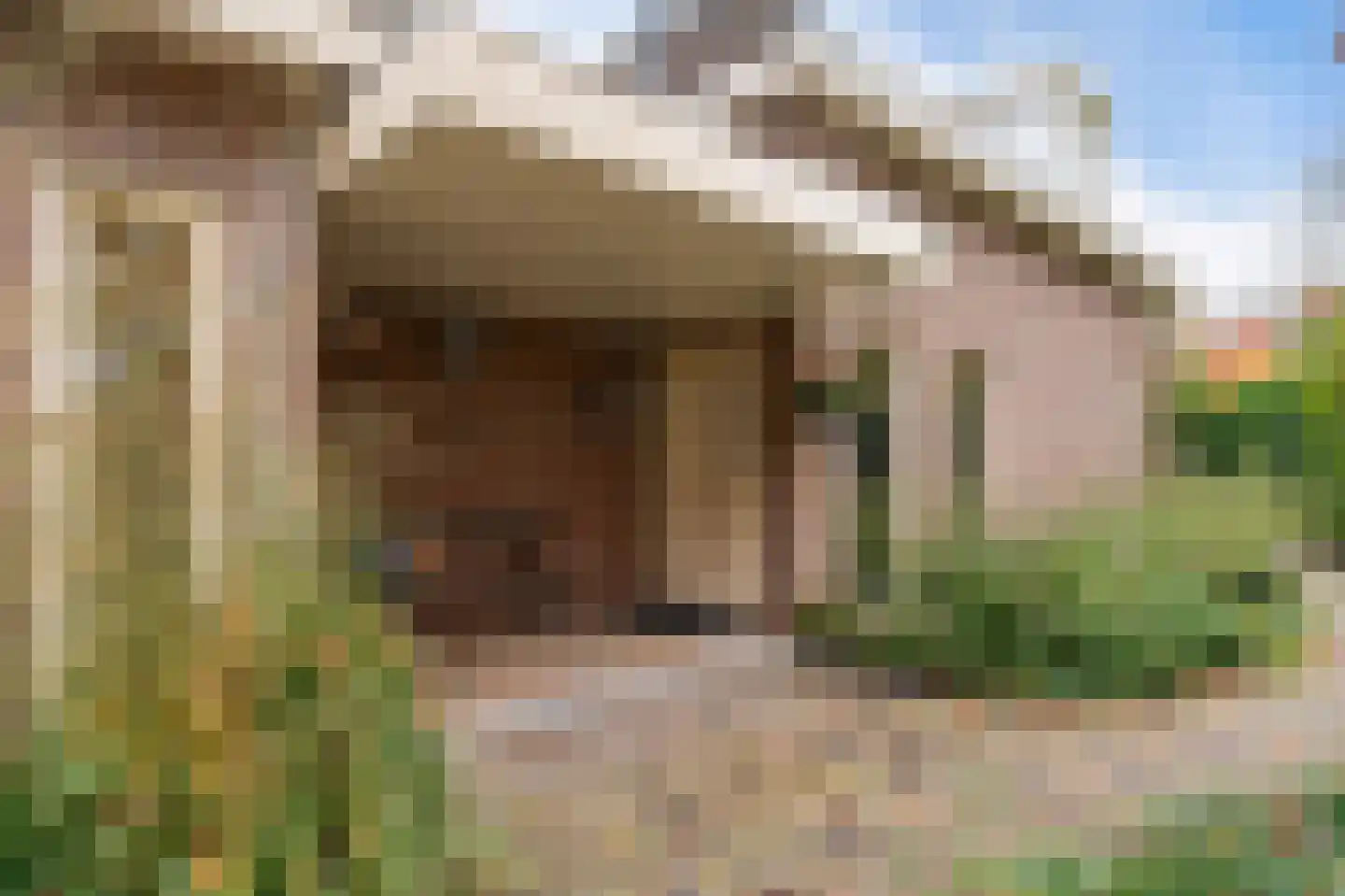 Nassaukade 11 a Schoonhoven thumbnail 17