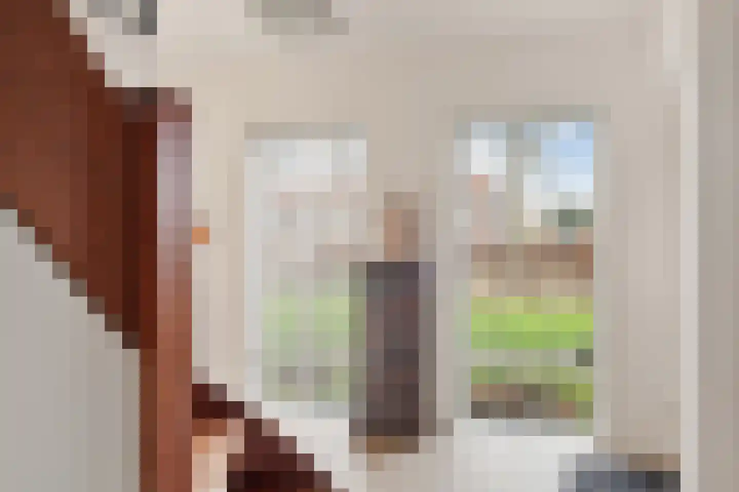 Nassaukade 11 a Schoonhoven thumbnail 19