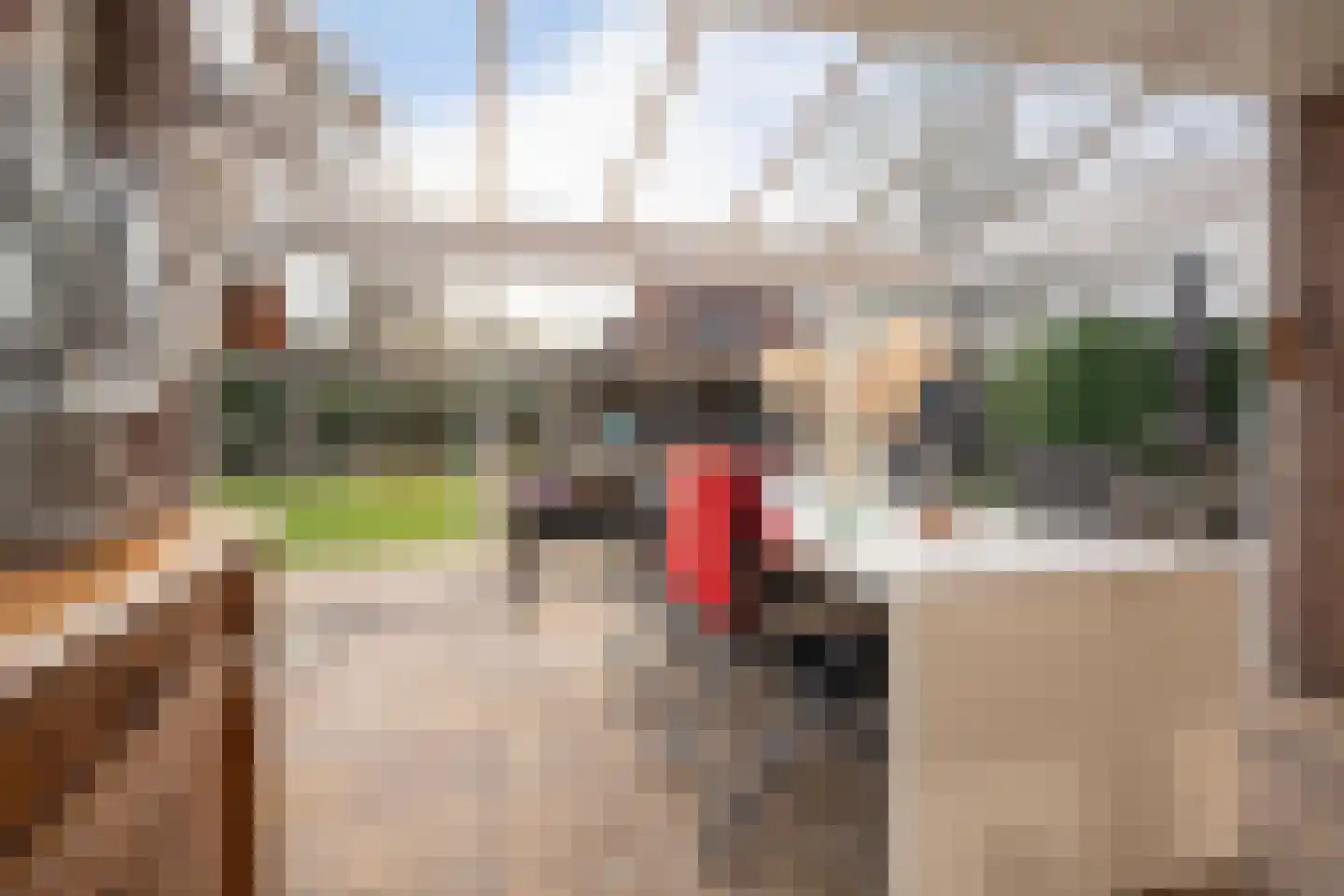 Nassaukade 11 a Schoonhoven thumbnail 36